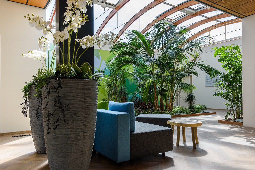 Associatie & IJmond DELA Uitvaartcentrum in Zaandam, een rustige en sfeervolle locatie voor een sobere en persoonlijke uitvaart in een respectvolle omgeving.