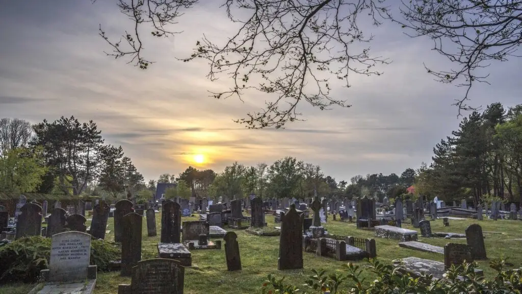 Begraafplaats bij zonsondergang met rijen grafstenen tussen groene bomen, onder een bewolkte lucht met kale takken op de voorgrond.