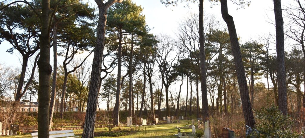 Duurzame uitvaart op een natuurbegraafplaats in een rustige bosrijke omgeving
