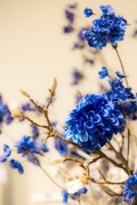 Blauwe bloemen als detail bij uitvaart en afscheid asbestemming