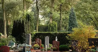 Gemeentelijke begraafplaats in Zaandam met grafstenen tussen groene coniferen en bloemen
