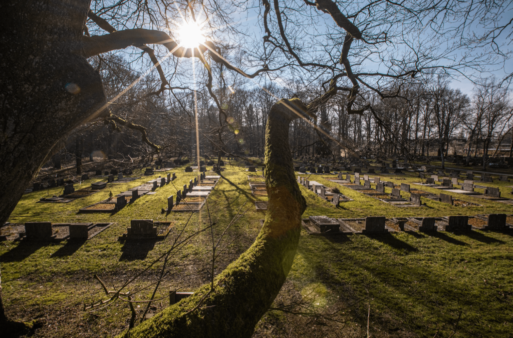 Noorderbegraafplaats in Assen, gelegen in het Asserbos, met historische grafstenen, oude bomen en zonlicht dat over de begraafplaats schijnt.
