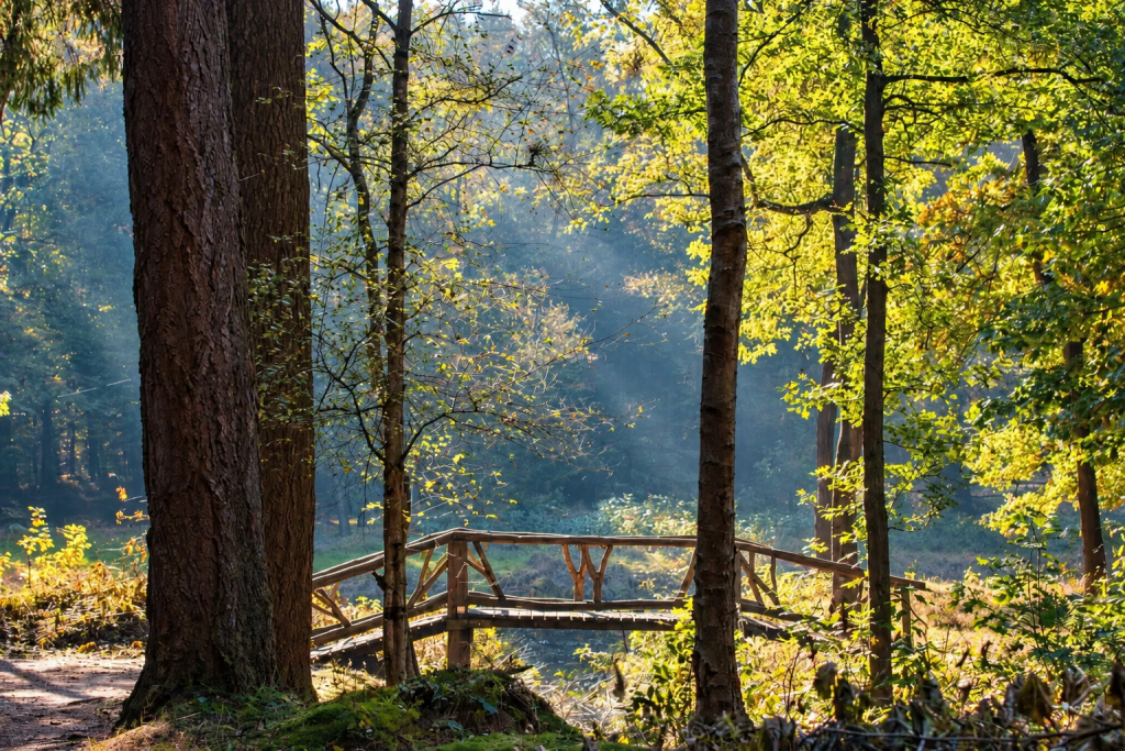Houten bruggetje tussen de bomen in Begraafpark Oeverse Bos, met zonlicht dat door het groene bos schijnt en een rustige, natuurlijke sfeer creëert.