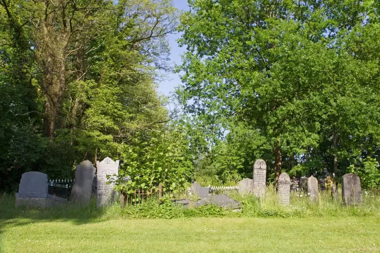 Oude grafstenen op een historische begraafplaats, omringd door hoge bomen en groen gras in een rustige, natuurlijke omgeving.